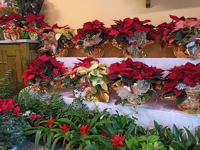 Centro Fiori Di Petrilli Francesco E Verdiani Loreno Snc, Fiorista a Ponsacco