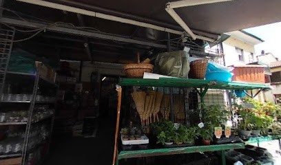 Agraria E Combustibili Del Pistoia, Fiorista a Viareggio