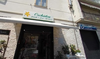 Orchidea Fiori Di Catia Columbro, Fiorista a Empoli