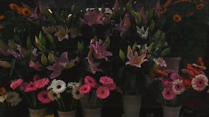 Fioraio Amadeo, Fiorista a Roma