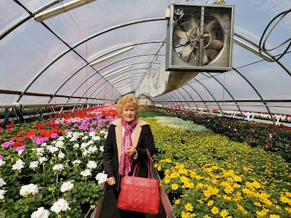 Ecolomb Terricci Fertilizzanti E Piante Soc. Coop. A R.L., Fiorista a Tarcento