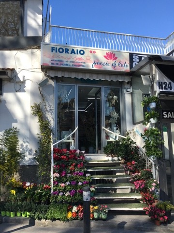 Fioraio Poesie di Loto, Fiorista a Aversa