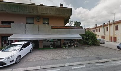 Fioreria Bomboniere Maria De Santi Di Maria De Santi & C. Snc, Fiorista a San Martino di Lupari