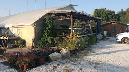 Floricoltura Manzana, Fiorista a Vittorio Veneto