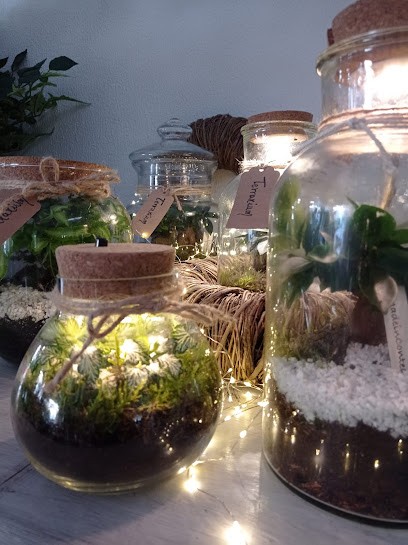 Marcella Fiori, Fiorista a Vinovo