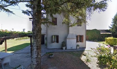 Floricoltura Simionato, Fiorista a Fossalta di Piave