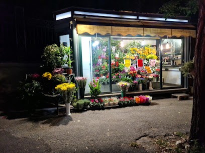 FIORI E PIANTE, Fiorista a Roma