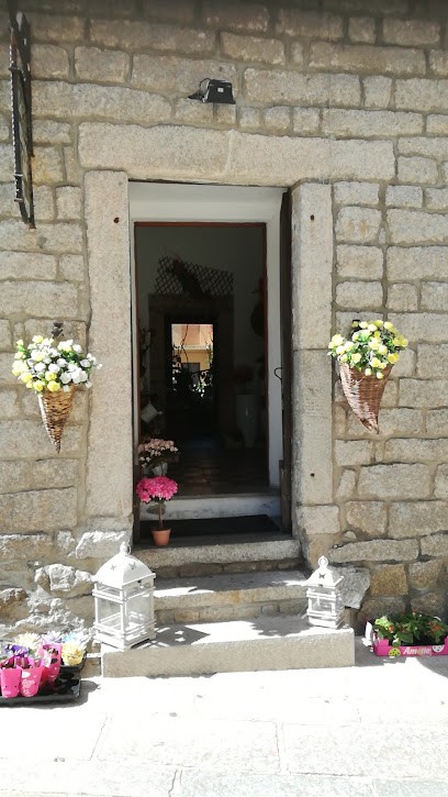 La Bottega Del Fiore Di Arianna Manconi, Fiorista a Tempio Pausania