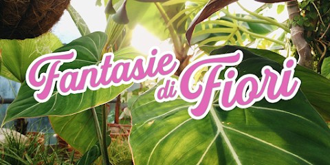 Fantasie Di Fiori, Fiorista a Torino