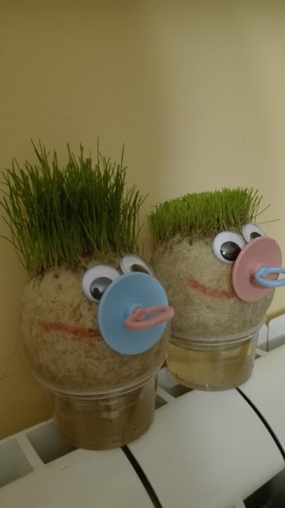 Punto Verde Di Mastrogiovanni Laura, Fiorista a Sogliano Cavour