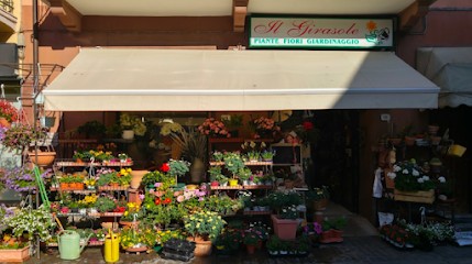 Il Girasole di Musso Giovanna, Fiorista a Villanova d'Albenga