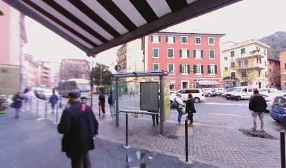 L'Angolo Verde - Fiorista - Vendita Di Fiori E Piante E Composizioni Floreali Genova, Fiorista a Genova