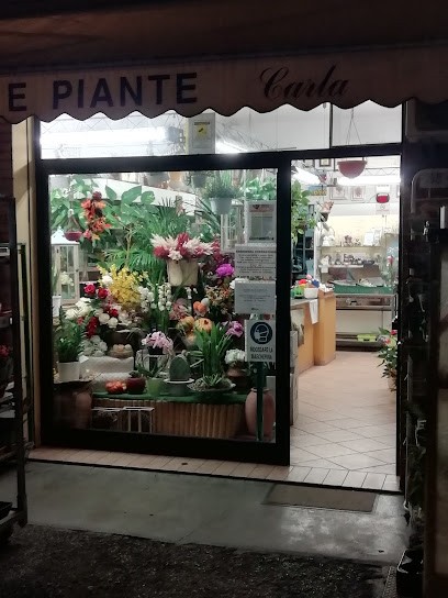 Fiori E Piante Carla, Fiorista a Sant'Agata Bolognese