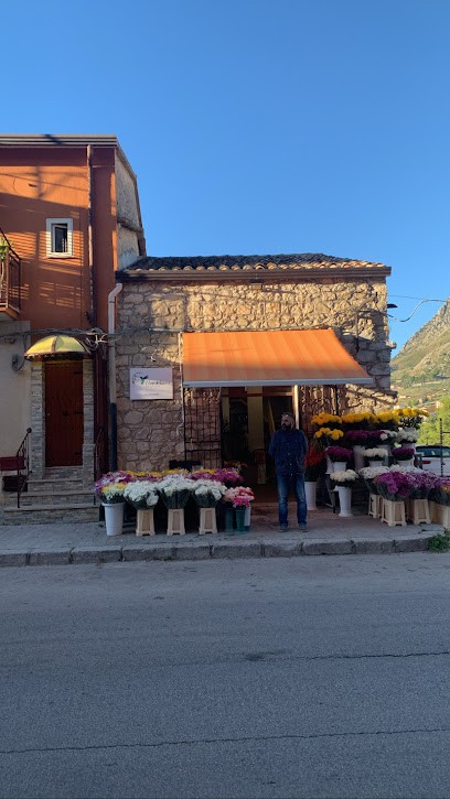 I Fiori Di Gemma, Fiorista a Piana degli Albanesi