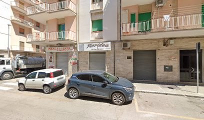 Fioridea Di Massimo Rignanese, Fiorista a Manfredonia