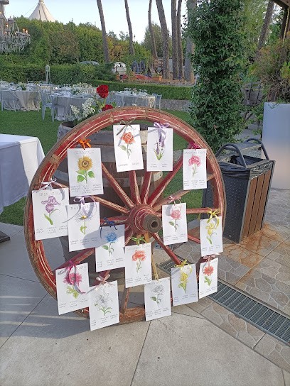 Il 13 Di Fiori, Fiorista a Scandicci