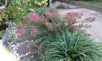 Bonamin Sergio, Fiorista a San Giorgio in Bosco