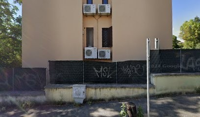 Le Mimose Di Tomassini Alessandro, Fiorista a Roma
