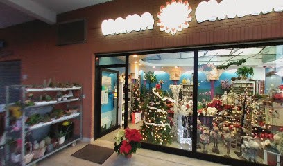 Mama Non Mama Angelo e Dora Fioristi, Fiorista a Sabaudia