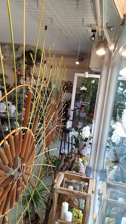 Fioreria Hibiscus Di Domenighini Rosanna, Fiorista a Palazzolo dello Stella