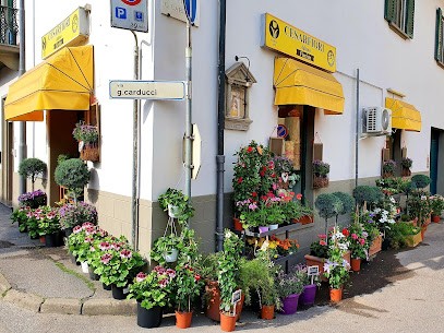 Cesarfiori Di Adamo Pruneti, Fiorista a Signa