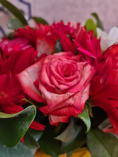 Lo Stilista Dei Fiori, Fiorista a Ercolano