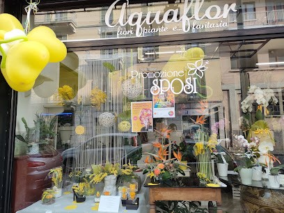 Aquaflor Di Perondi Maria Teresa, Fiorista a Novara