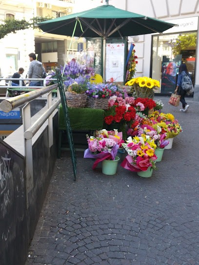 Fiori Nastro Fabrizio, Fiorista a Napoli