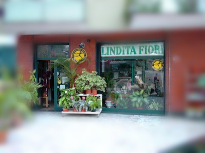 Lindita Decorazioni Floreali Di Bernocchi Juri & Igor Snc, Fiorista a Sanremo