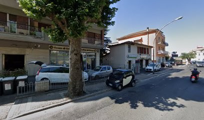 Xinda, Fiorista a Palestrina