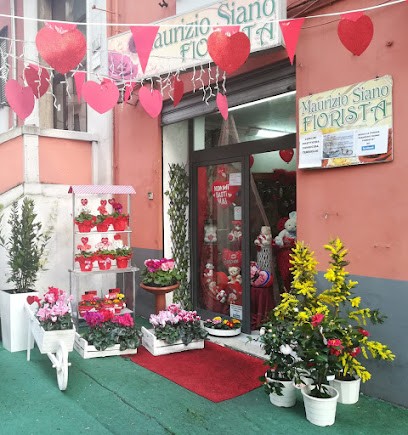Maurizio Siano Fiorista, Fiorista a Salerno