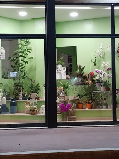 Asso Di Fiori Di Sabatini Cristina - Fiori Piante Addobbi, Fiorista a Terni
