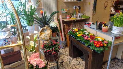 Rosy Fiori, Fiorista a Trezzo sull'Adda