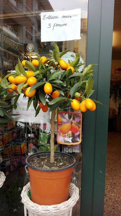 Il Fiore Di Loto Di Oliveri Beatrice, Fiorista a Masone