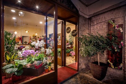 Il Tramite Fiorito, Fiorista a Macerata