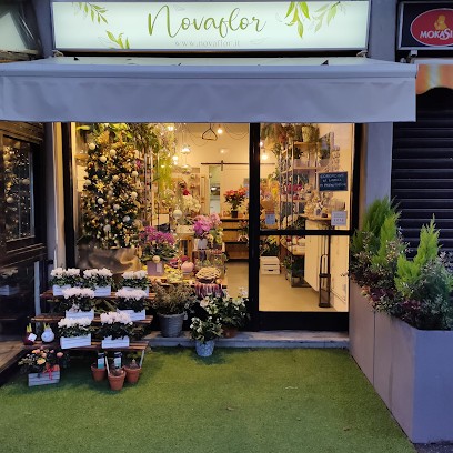 Fiorista Novaflor Di Rosita Pavia, Fiorista a Pavia
