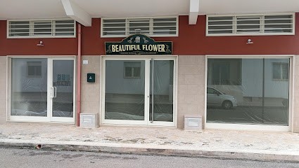 Beautiful Flower, Fiorista a Sammichele di Bari