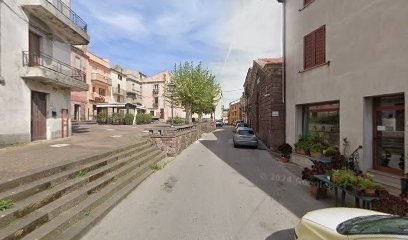 Col Giuseppina, Fiorista a Villanova Monteleone