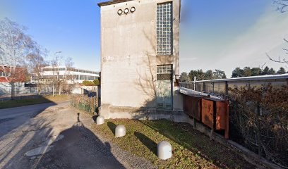 Floricoltura Minetti, Fiorista a Lentate sul Seveso