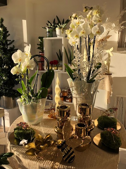 Fiori E Giardinaggio Baga Giuseppina Ernestina E C. Snc, Fiorista a Turbigo