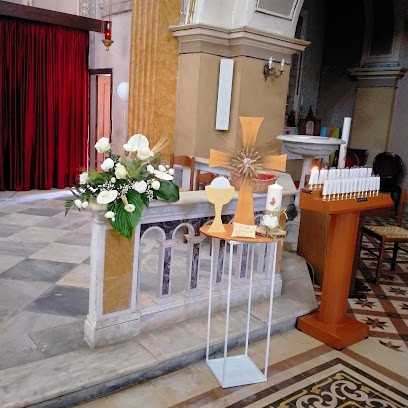 Piante E Fiori Di Federico Patrizia, Fiorista a Villa Santa Maria