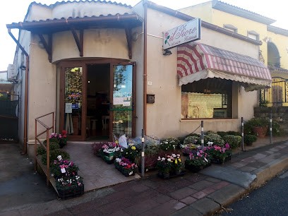 'il Fiore ' Di Zucca Immacolata, Fiorista a Villaurbana