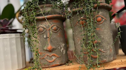 FIORERIA GARDEN ISCHIA ISCHIA RAFFAELLA, Fiorista a Arco