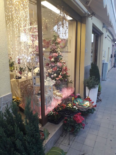 Pianeta Natura Uta, Fiorista a Uta