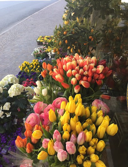 Trentinflora Arte Floreale, Fiorista a Cles