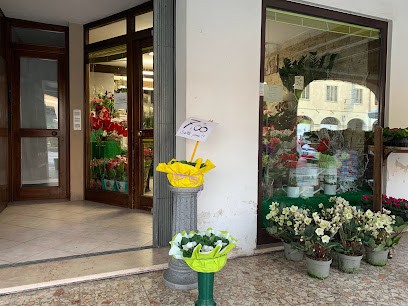 Angolo Fiorito Roncade, Fiorista a Roncade