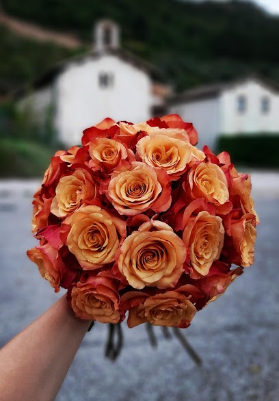 Il Tulipano - Piante E Fiori, Fiorista a Gubbio