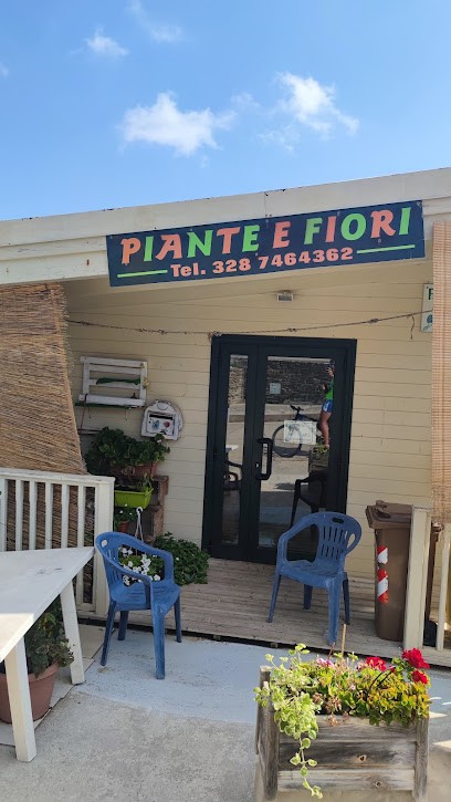 Piante e Fiori, Fiorista a Stintino