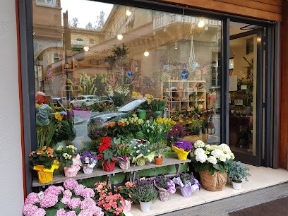 Fioreria Del Corso, Fiorista a Forlì
