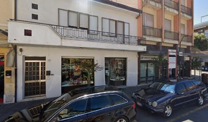 Fiordaliso, Fiorista a Morciano di Romagna